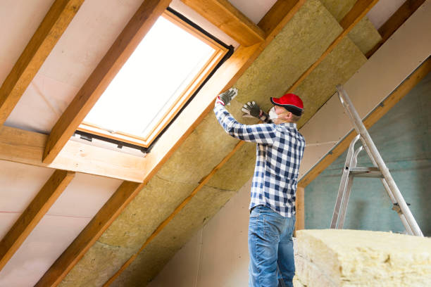 Professional Insulation Removal & Installation in Lake St Louis, MO